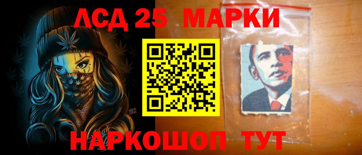 Альфа ПВП Камышин