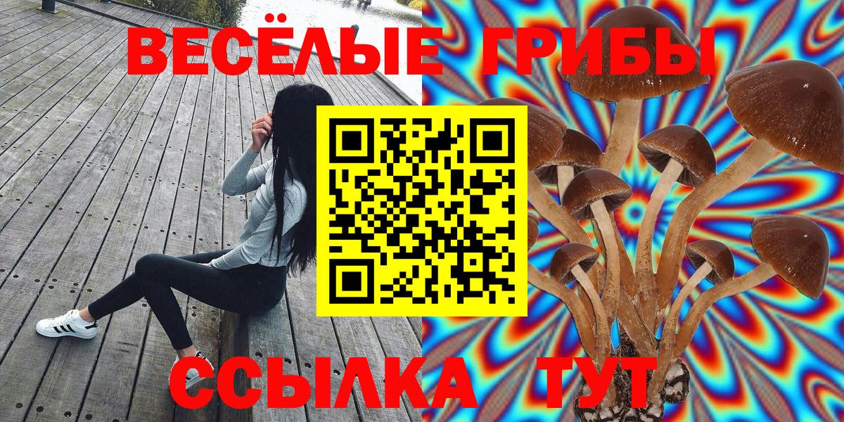 Псилоцибиновые грибы Magic Shrooms Камышин