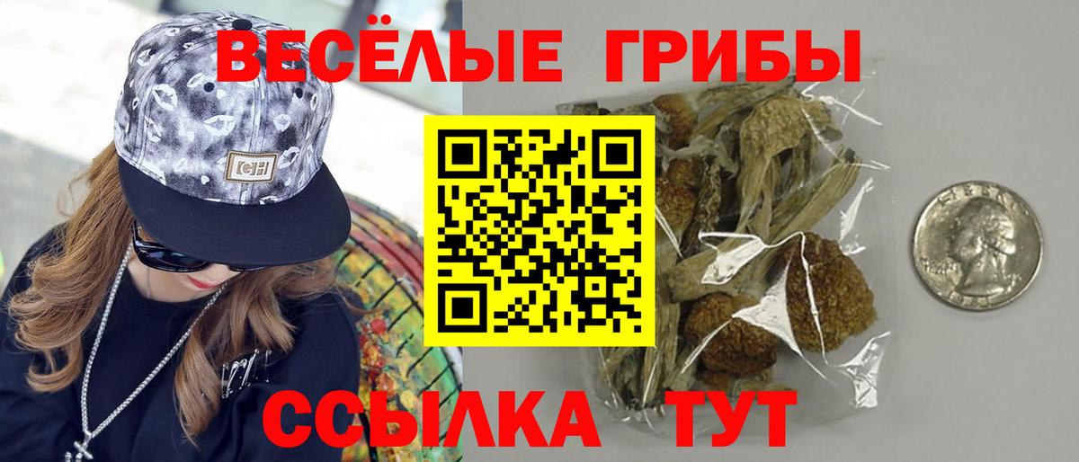 Галлюциногенные грибы Psilocybine cubensis  Вход с VPN  закладки  Камышин 